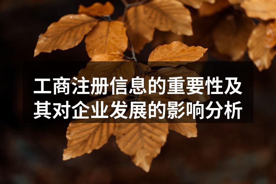 工商注册信息的重要组成部分