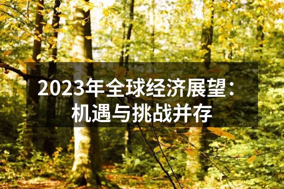 2023年全球经济展望：机遇与挑战并存