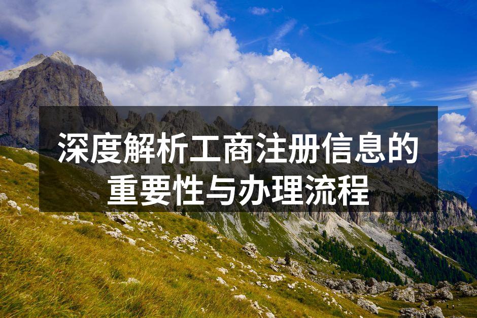 深度解析工商注册信息的重要性与办理流程