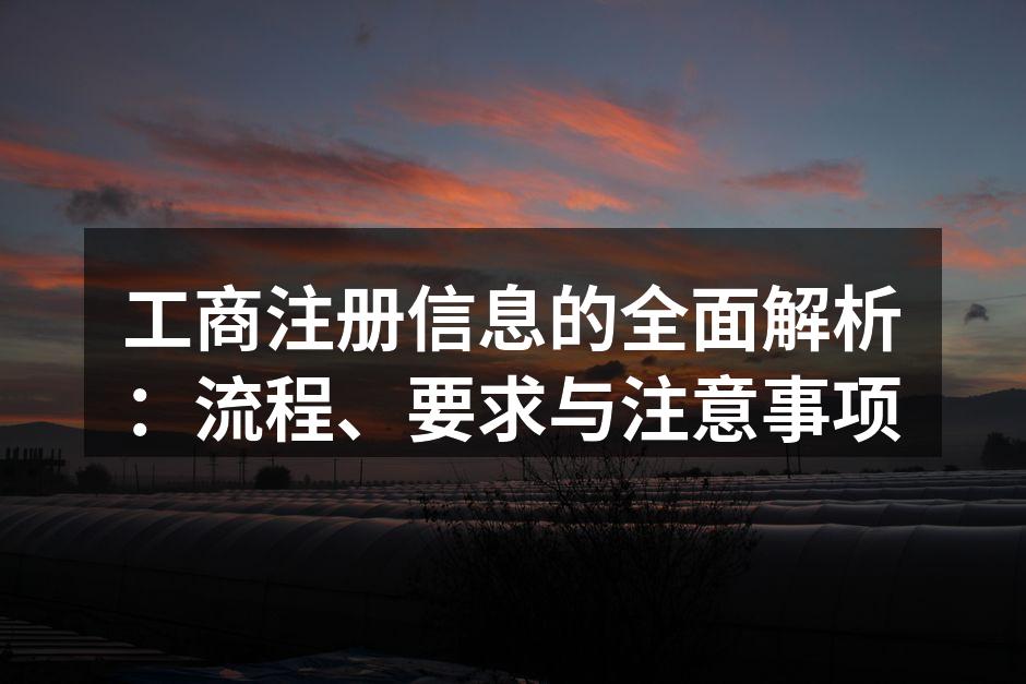 工商注册信息的全面解析：流程、要求与注意事项
