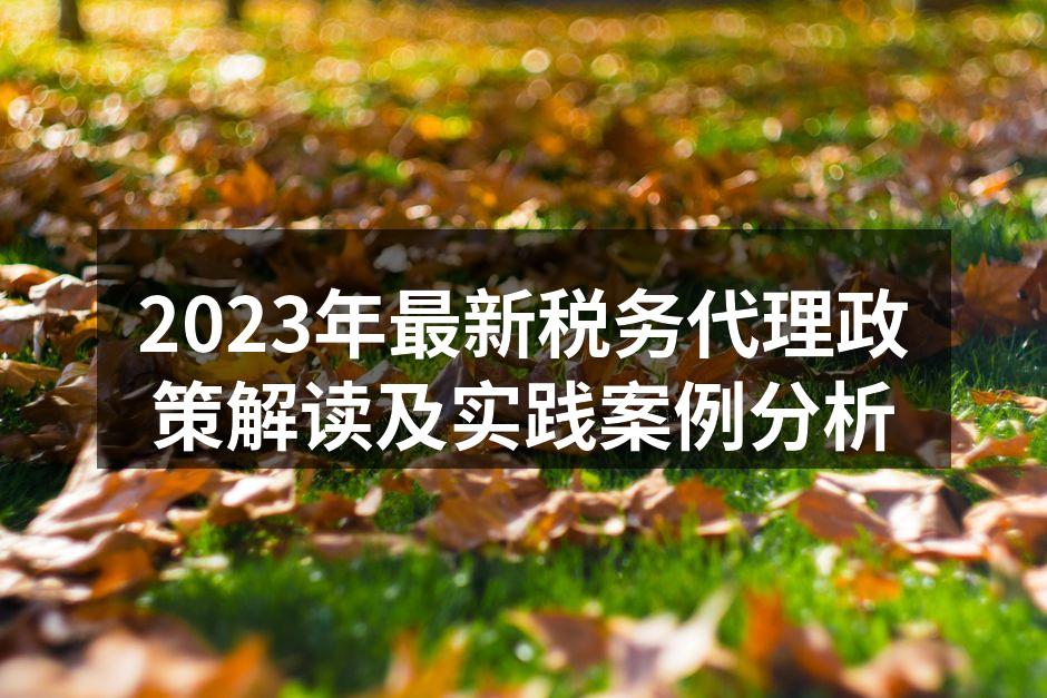 2023年最新税务代理政策解读及实践案例分析