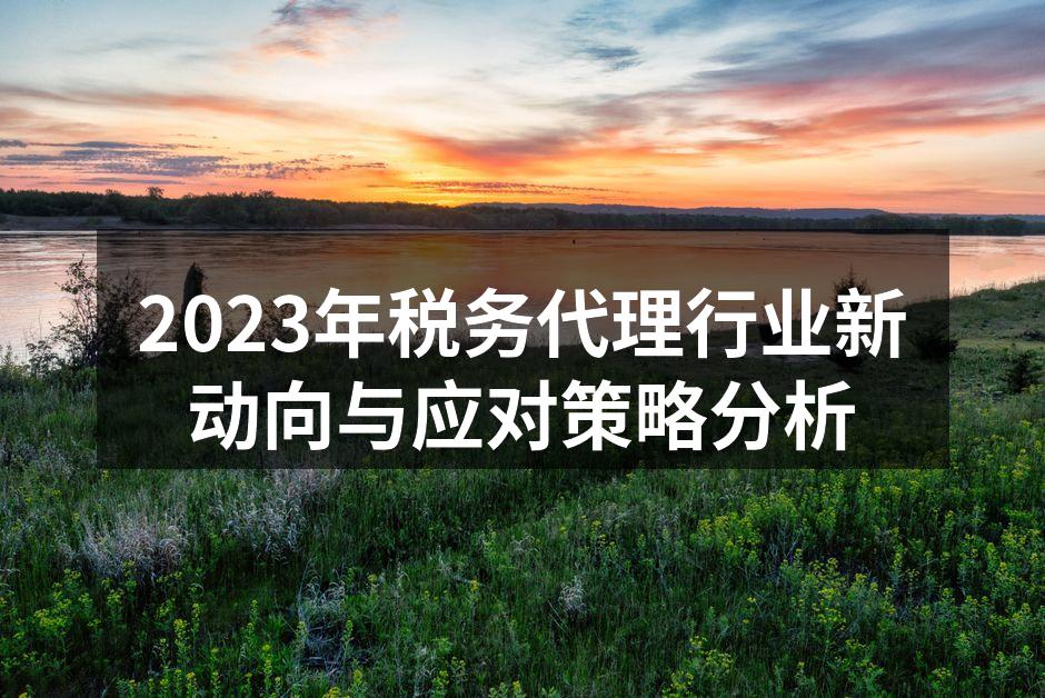 2023年税务代理行业新动向与应对策略分析