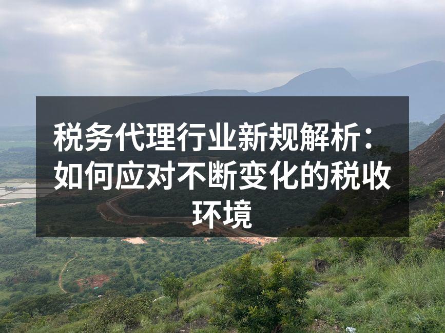 税务代理行业新规解析：如何应对不断变化的税收环境